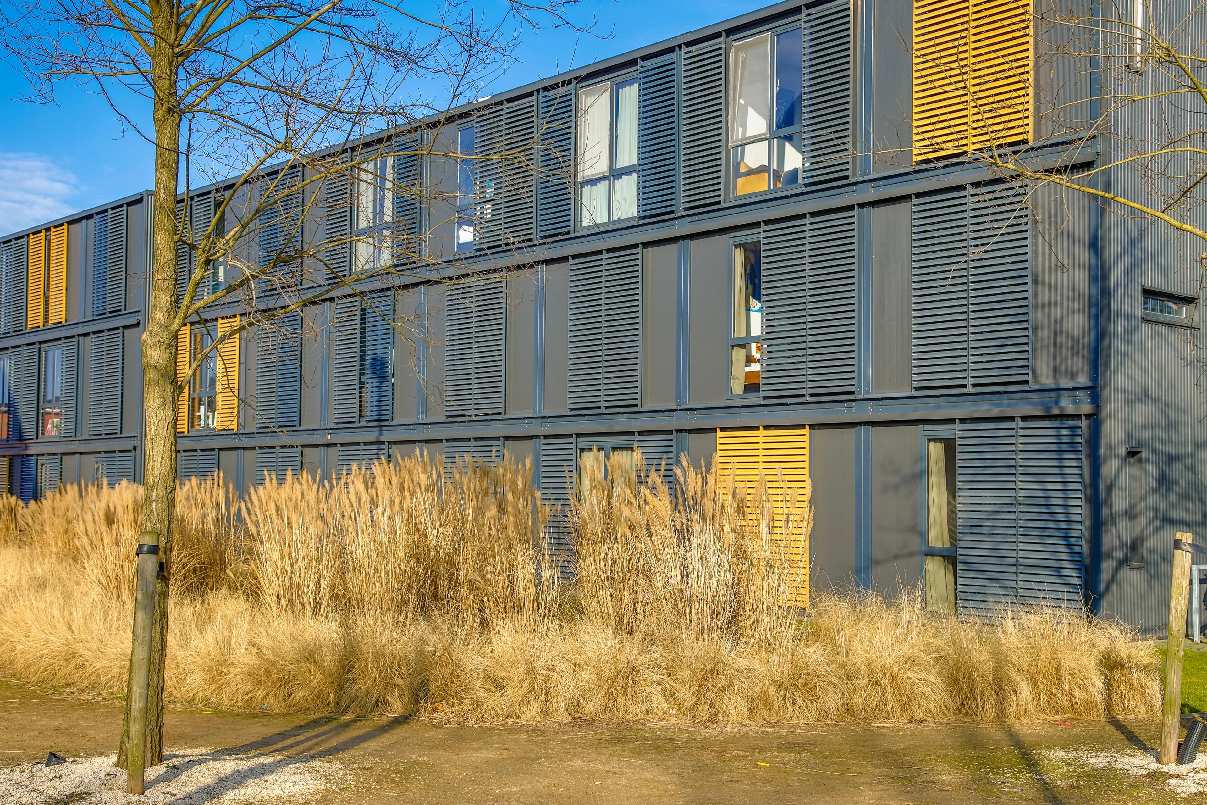 stacked containers as student accommodation