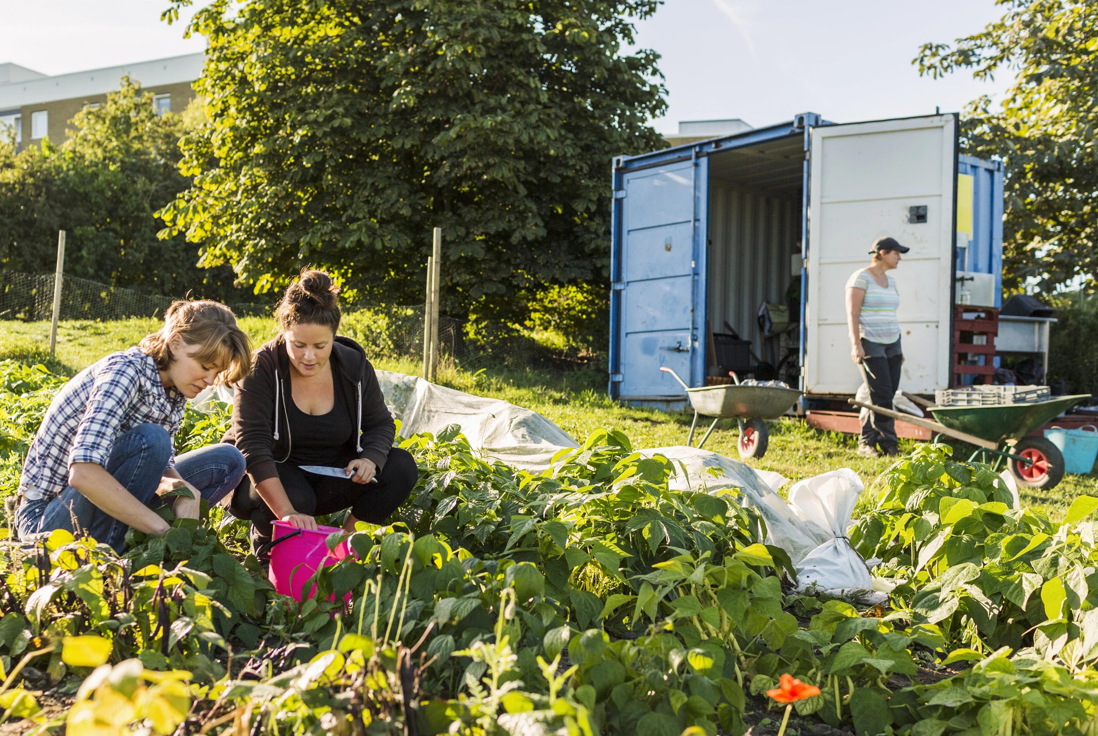 shipping container garden shed storage with gardeners nearby